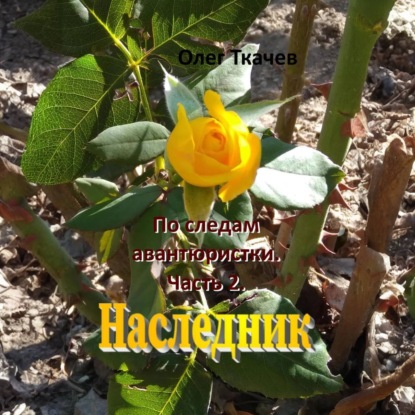 Скачать книгу По следам авантюристки. Часть 2. Наследник