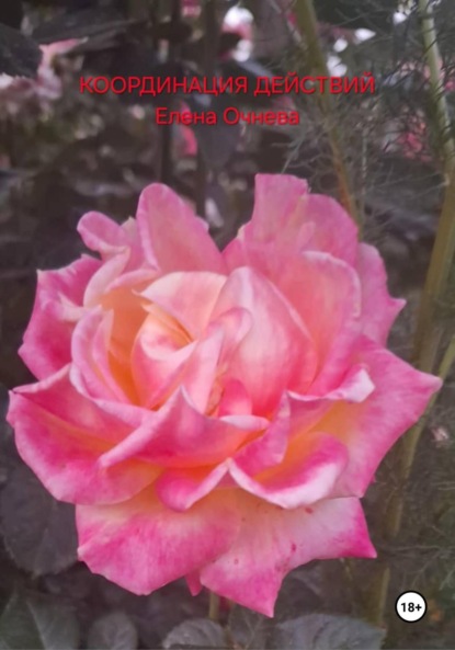 Скачать книгу Координация действий