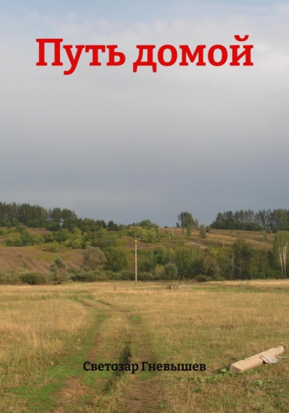 Скачать книгу Путь домой