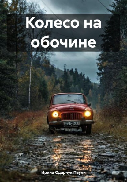 Скачать книгу Колесо на обочине