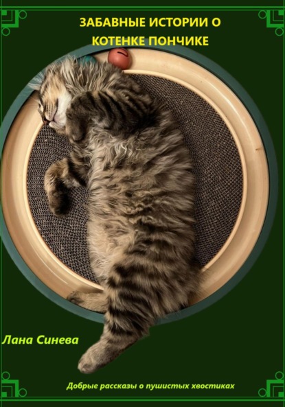 Скачать книгу Забавные истории о котенке Пончике