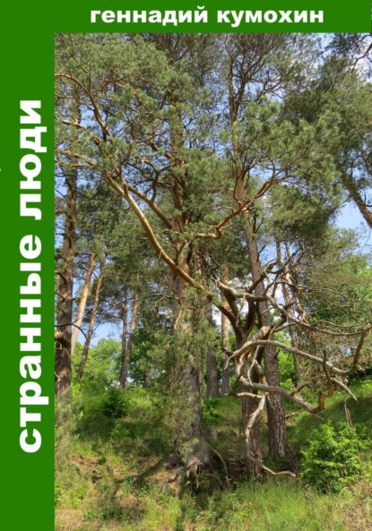 Скачать книгу Странные люди