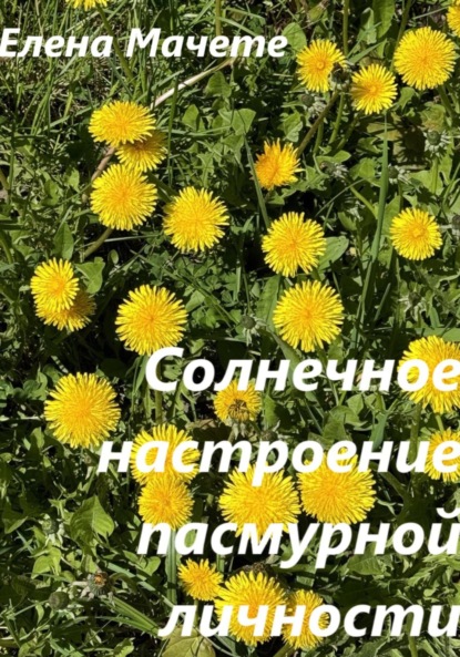 Скачать книгу Солнечное настроение пасмурной личности