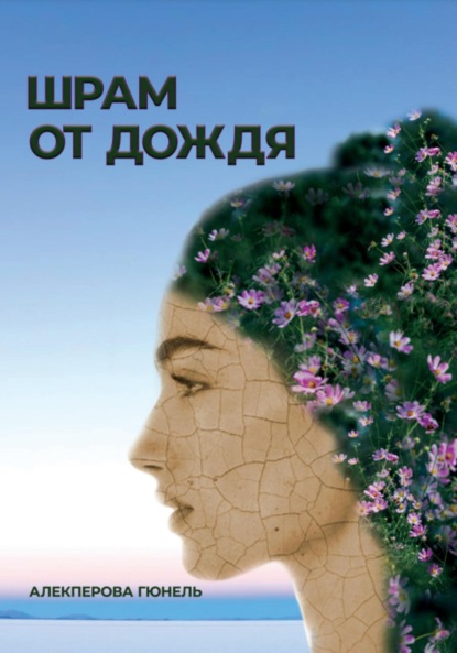 Скачать книгу Шрам от дождя