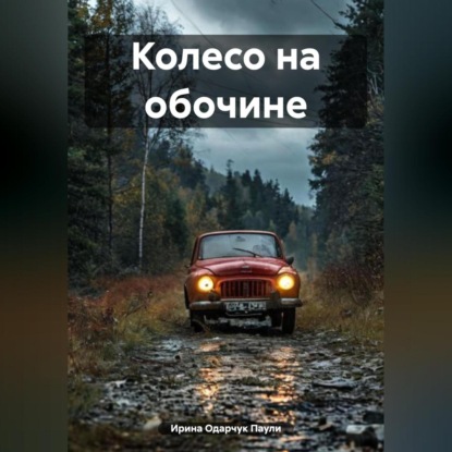 Скачать книгу Колесо на обочине