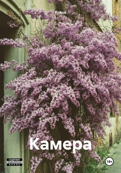 Скачать книгу Камера