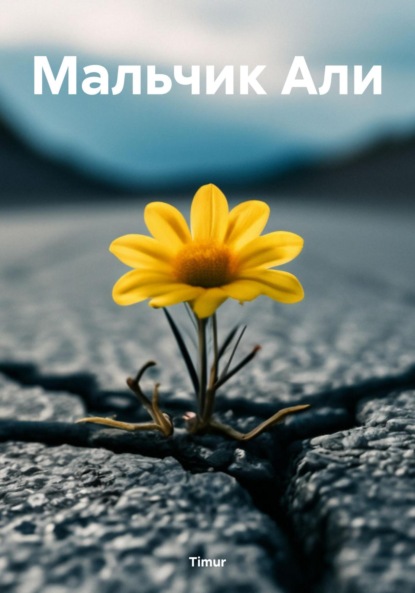 Скачать книгу Мальчик Али