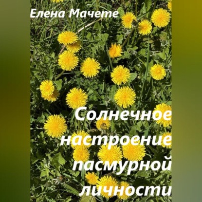 Скачать книгу Солнечное настроение пасмурной личности