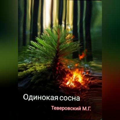 Одинокая сосна