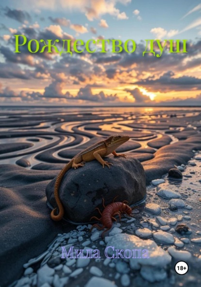 Рождество душ