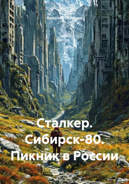 Скачать книгу Сталкер. Сибирск-80. Пикник в России