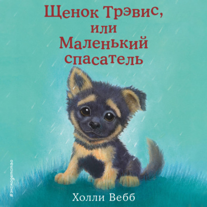 Скачать книгу Щенок Трэвис, или Маленький спасатель