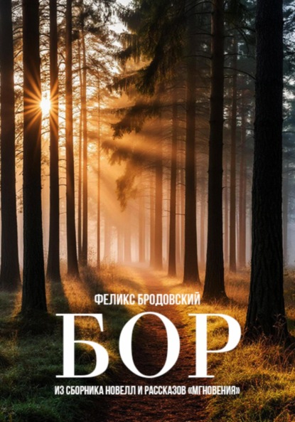 Скачать книгу Бор