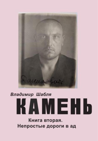 Скачать книгу Камень. Биографический роман. Книга вторая. Непростые дороги в ад.