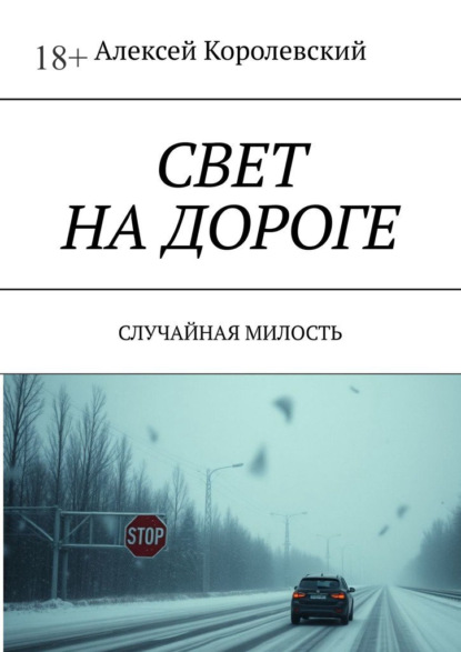 Скачать книгу Свет на дороге. Случайная милость