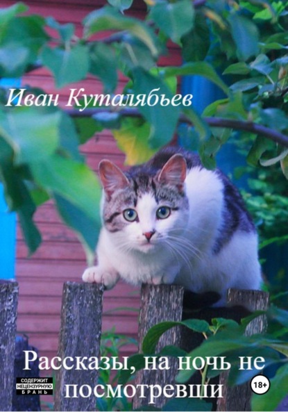 Рассказы, на ночь не посмотревши