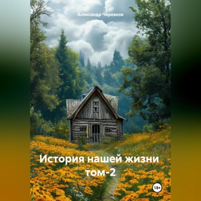 Скачать книгу История нашей жизни том-2