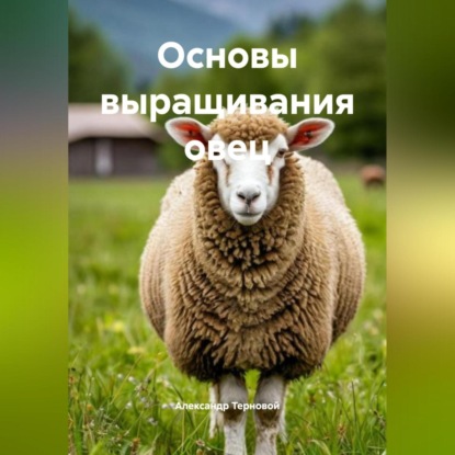 Скачать книгу Основы выращивания овец