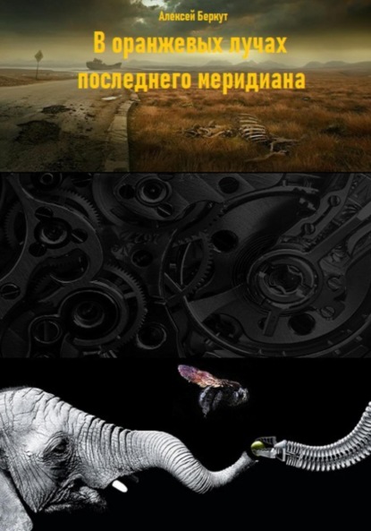 Скачать книгу В оранжевых лучах последнего меридиана