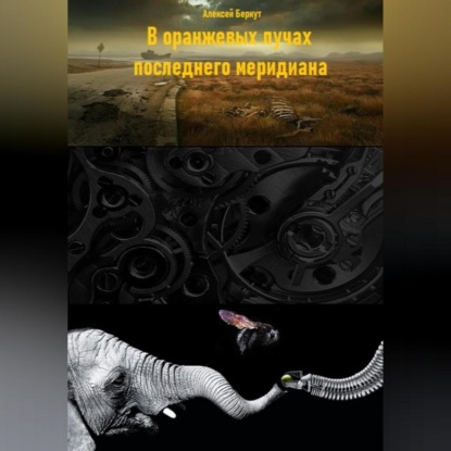 Скачать книгу В оранжевых лучах последнего меридиана