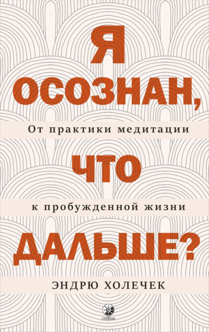 Скачать книгу Я осознан, что дальше? От практики медитации к пробужденной жизни