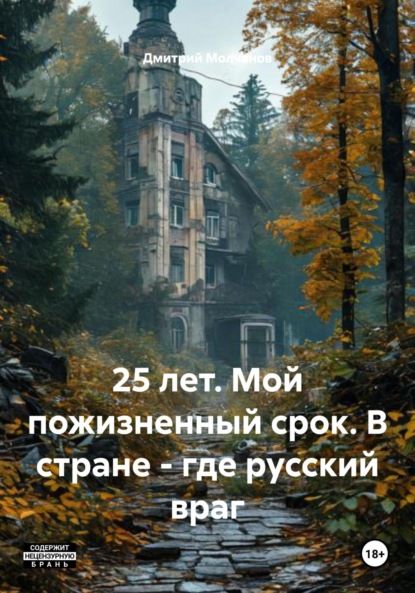 Скачать книгу 25 лет. Мой пожизненный срок. В стране – где русский враг