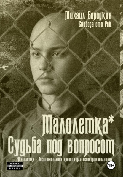 Скачать книгу Малолетка*. Судьба под вопросом