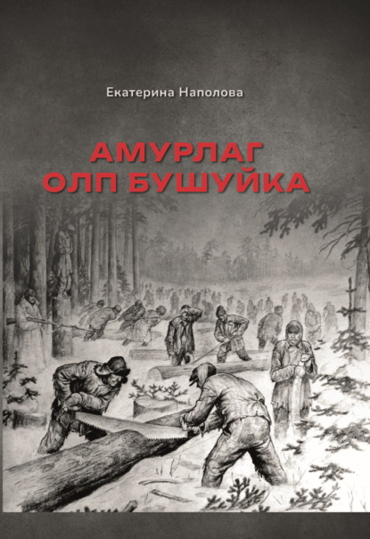 Скачать книгу Амурлаг ОЛП Бушуйка