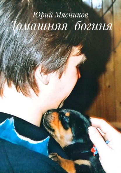 Скачать книгу Домашняя богиня