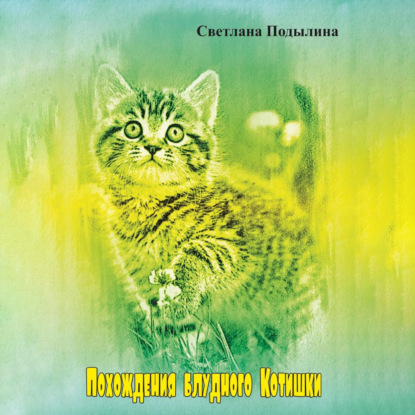 Скачать книгу Похождение блудного котишки