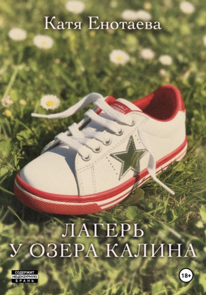 Скачать книгу Лагерь у озера Калина