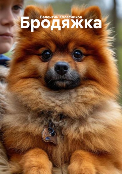 Скачать книгу Бродяжка