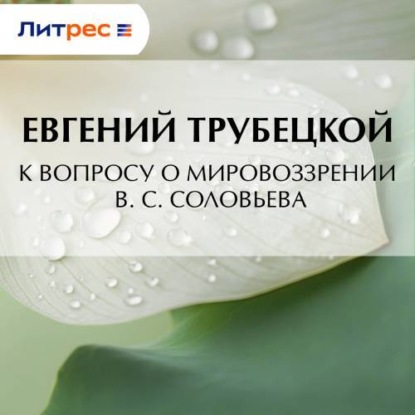 Скачать книгу К вопросу о мировоззрении В. С. Соловьева