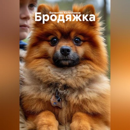 Скачать книгу Бродяжка