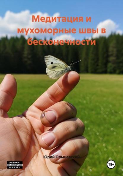 Скачать книгу Медитация и мухоморные швы в бесконечности