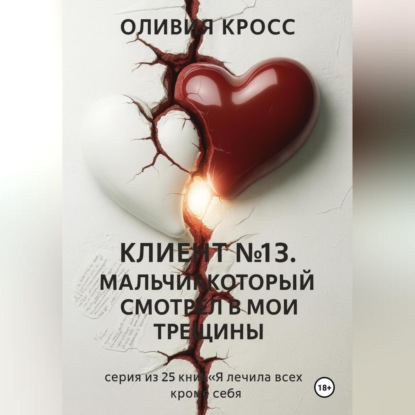 Скачать книгу Клиент №13 .Мальчик , который смотрел в мои трещины