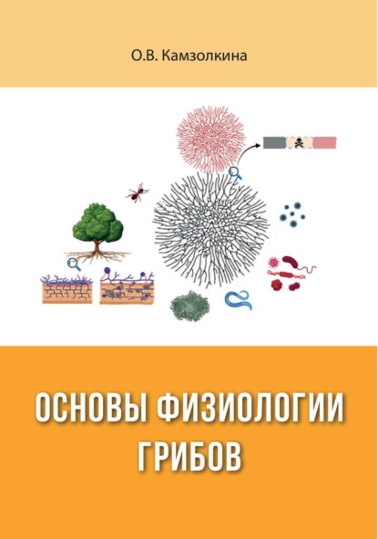Скачать книгу Основы физиологии грибов