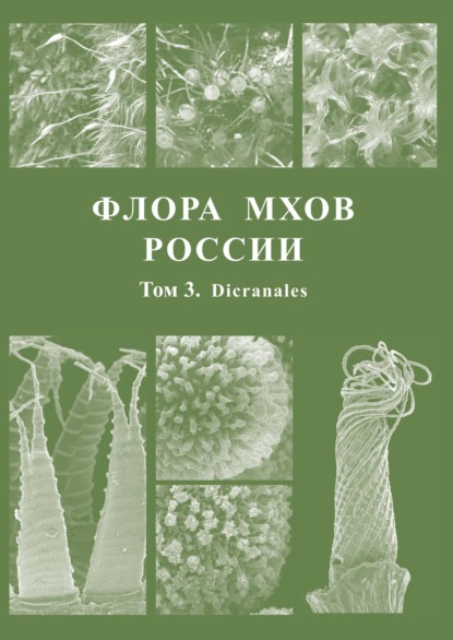 Скачать книгу Флора мхов России. Том 3. Dicranales