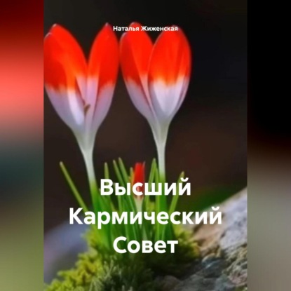 Скачать книгу Высший Кармический Совет