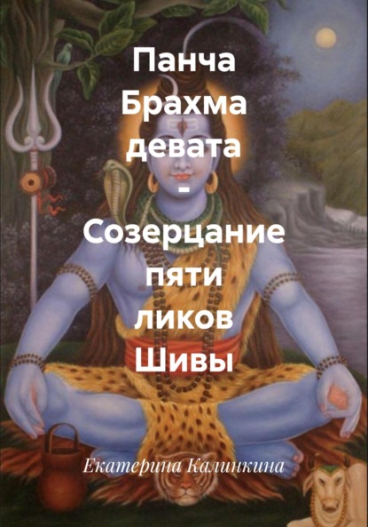 Скачать книгу Панча Брахма девата – Созерцание пяти ликов Шивы