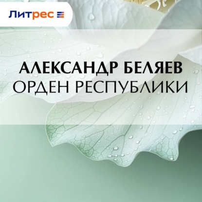 Скачать книгу Орден республики