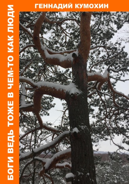 Скачать книгу Боги ведь тоже в чем-то как люди