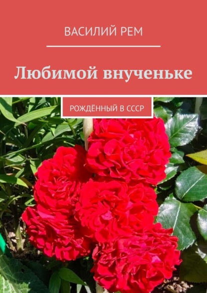 Скачать книгу Любимой внученьке. Рождённый в СССР