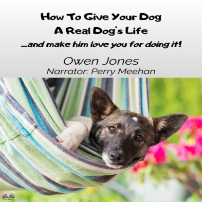 Скачать книгу How To Give Your Dog A Real Dog's Life