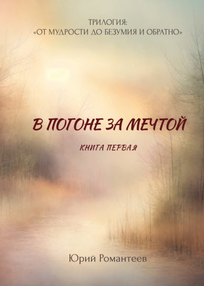 Скачать книгу В погоне за мечтой
