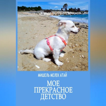 Скачать книгу Мое прекрасное детство
