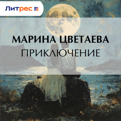 Скачать книгу Приключение