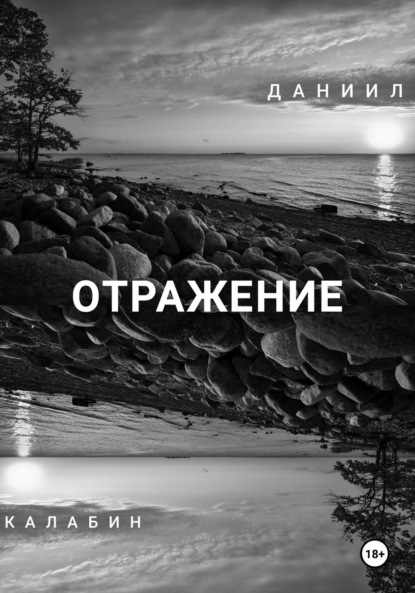 Скачать книгу Отражение