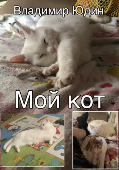 Скачать книгу Мой кот