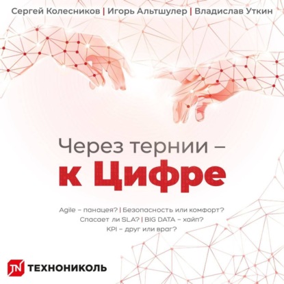 Скачать книгу Через тернии – к Цифре